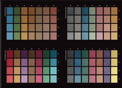 colore & gioia giorgio greasan 1l