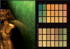 colore & oro ricco 1l